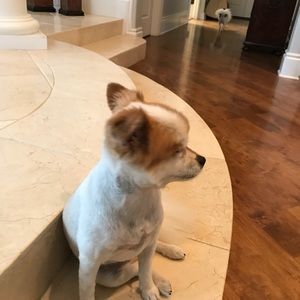 Meet your Posher, Fabiana